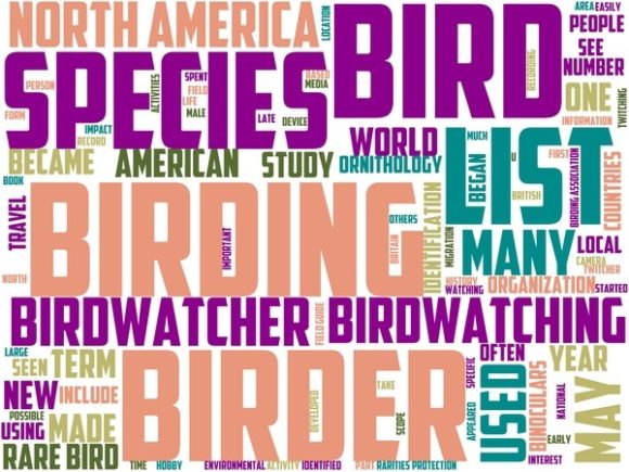 Bird Watching Wordart Book Cover