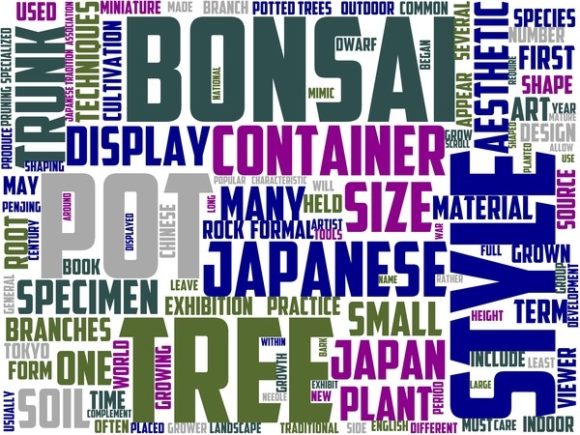 Bonsai Tree Wordart Tshirt: Where Botanical Symbolism Meets Expressive Typography